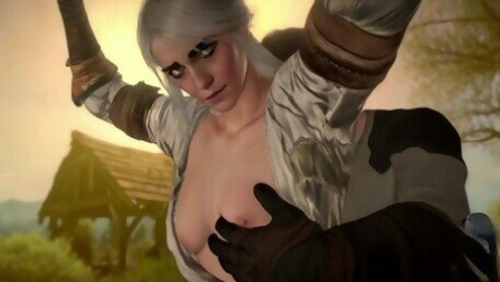 Witcher 3 Parody True Witcher Chapter 1 All Sex Scenes